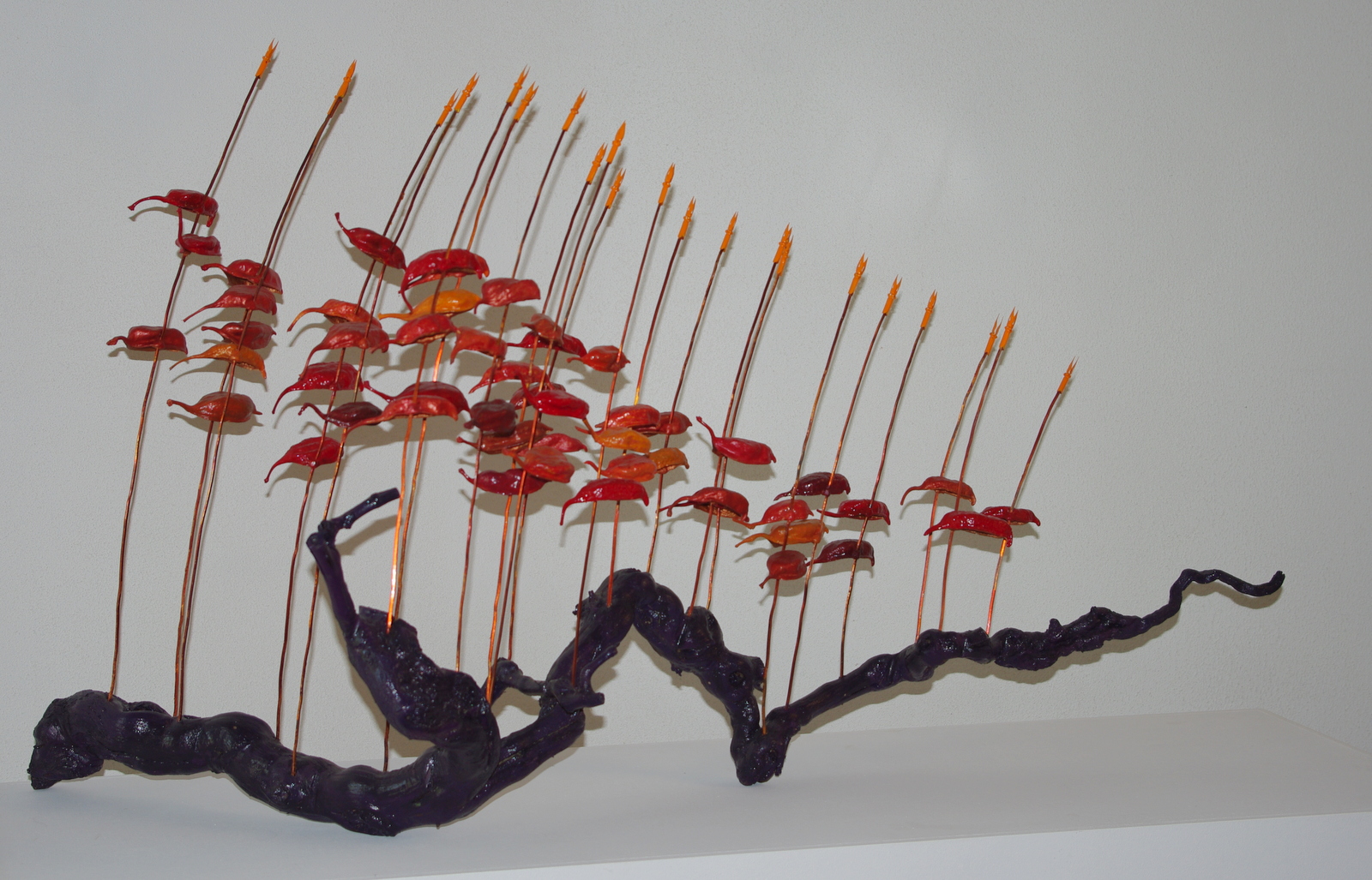 2014<br>110 x 30 x 60 cm<br>vine, copper wire, capsules, crown nibs