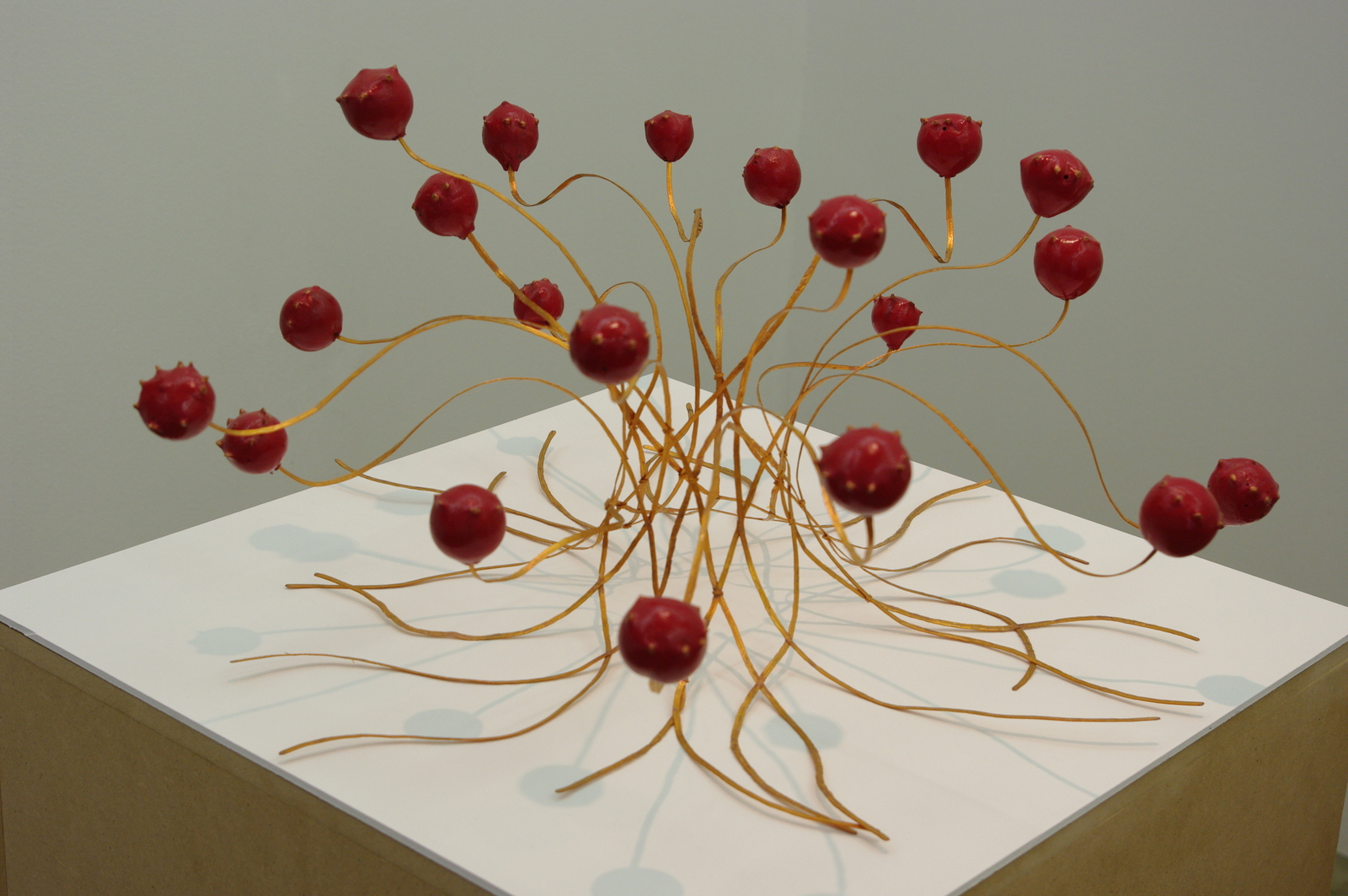 2018 sold<br>50 x 50 x 25 cm<br>galls, copper wire