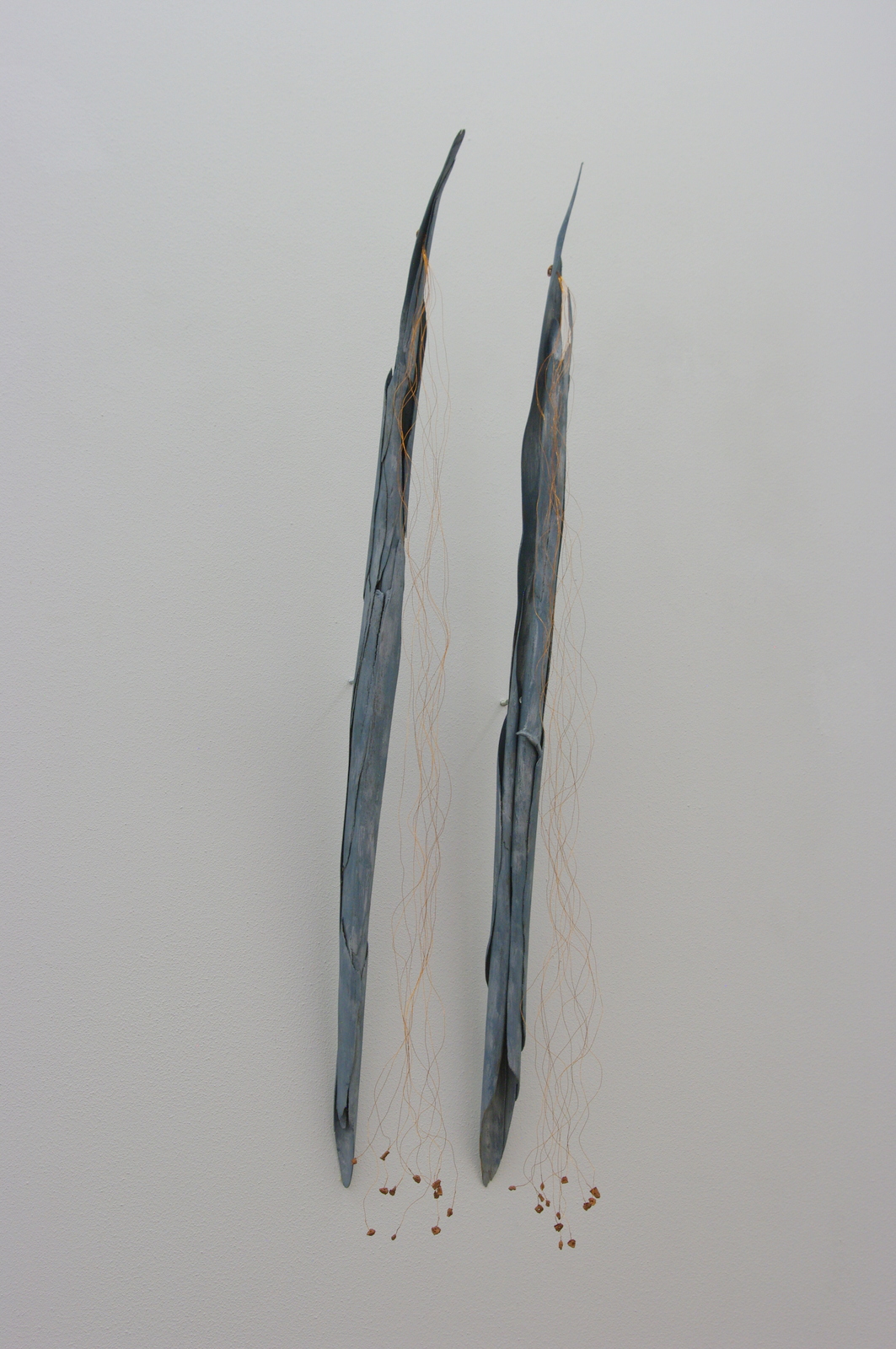 2006 sold<br>90 x 8 x 9 cm each<br>barkof eucalyptus, copper wire, cork
